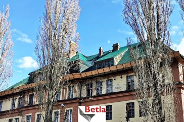 Siatki Wolsztyn - Dekarska siatka na dachy, zabezpieczająca dla terenów Wolsztyna